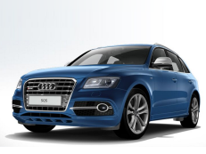 Audi, SQ5, 8R [2013 .. 2016] [EUDM] Closed Off-Road Vehicle, AutoDir