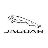 Jaguar,AutoDir